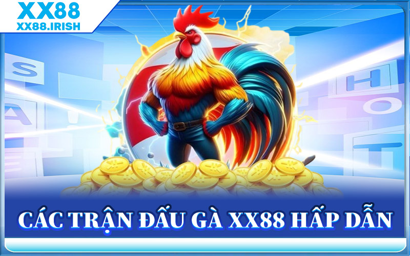 Các Trận Đấu Gà XX88 Hấp Dẫn