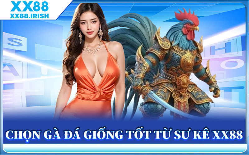Chọn Gà Đá Giống Tốt Từ Sư Kê XX88