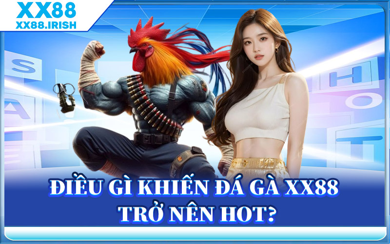 Điều Gì Khiến Đá Gà XX88 Trở Nên Hot?