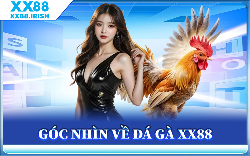 Góc Nhìn Về Đá Gà XX88