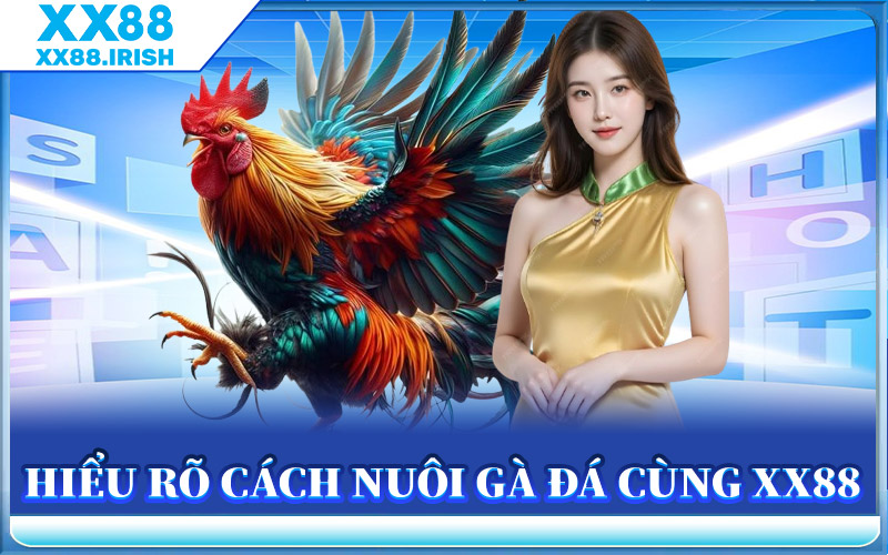 Hiểu Rõ Cách Nuôi Gà Đá Cùng XX88