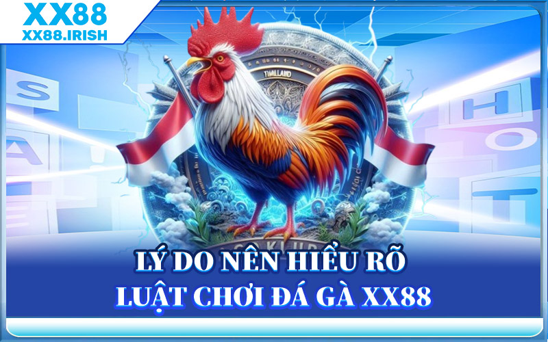 Lý Do Nên Hiểu Rõ Luật Chơi Đá Gà XX88