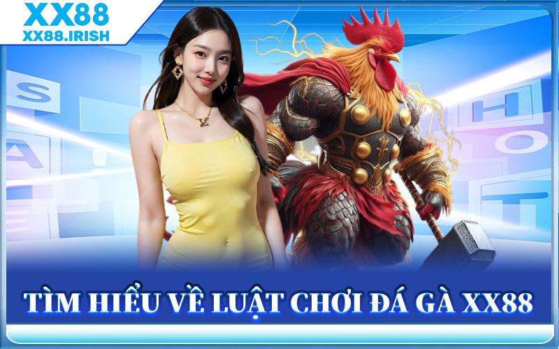 Tìm Hiểu Về Luật Chơi Đá Gà XX88