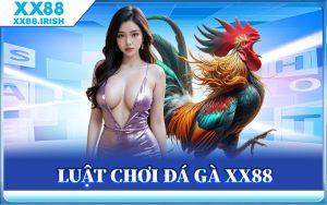 Luật chơi Đá Gà XX88